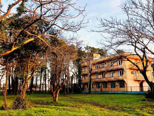 HOTEL - SHORENA, Ureki (Foto 3)