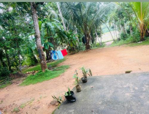 Villa Miella in 마타라 시티