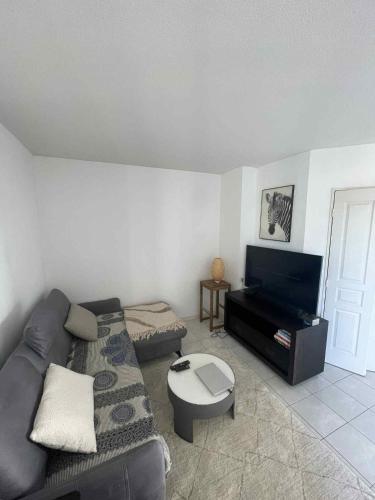 Superbe appartement à Lyon8 avec 2 balcons, Lione