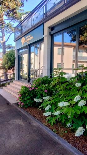 Hotel Classicano