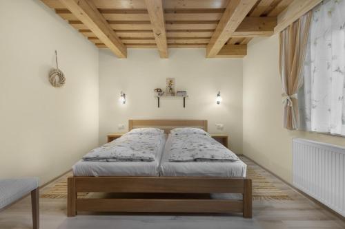 Chata za Grapou obrázok