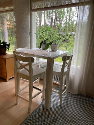 Villa Väinölä, tilaa rauhoittua (Villa Vainola, tilaa rauhoittua) in 阿拉武斯