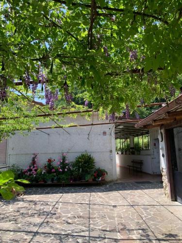 Balcony/terrace, Tra Fiori e Antichita in Contigliano