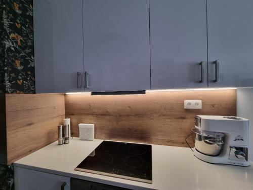 Exclusive apartment - FREE PARKING, Братислава (фото 5)