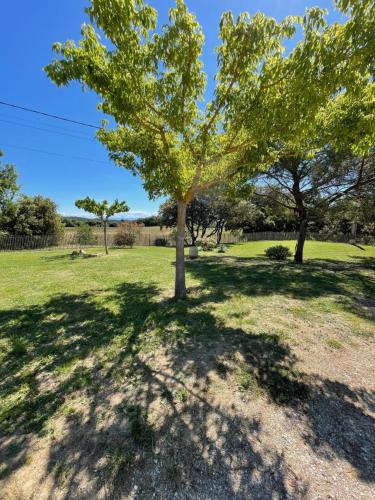 Domaine Camp Fourca - Mirabeau