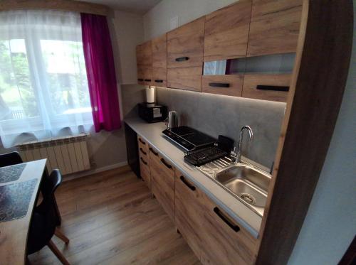 Two-Bedroom Apartment with Mountain View