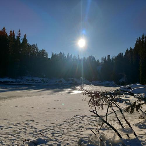 Ristafallets Camping - image 11
