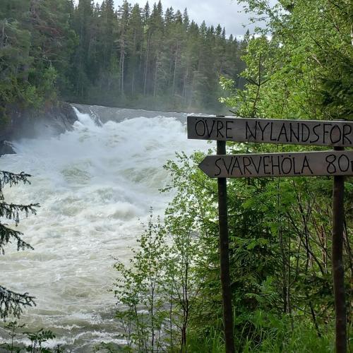 Ristafallets Camping - image 13
