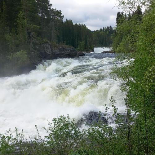 Ristafallets Camping - image 12
