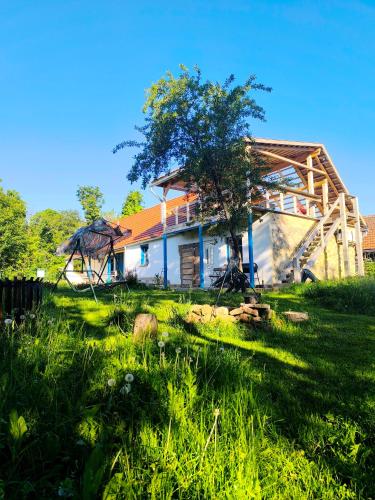 Exterior view, Blue Forest Retreat in Mánfa