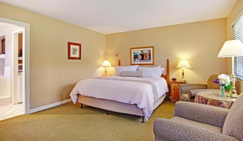 King Suite with Spa Bath - Pet Friendly