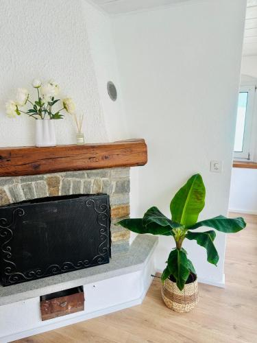 Casa Papavero in Vira