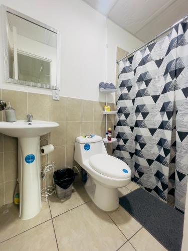 One-Bedroom Apartment image 4