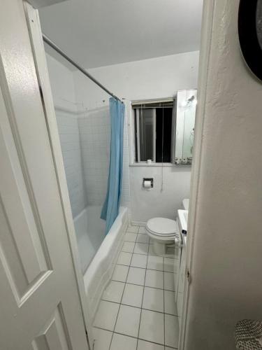 Females room bun beds, Los Angeles (fotografie 3)
