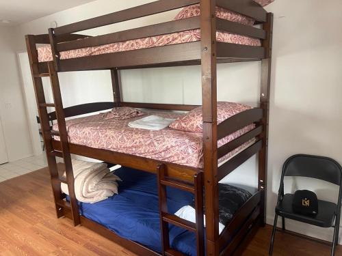 Females room bun beds, Los Angeles (fotografie 5)