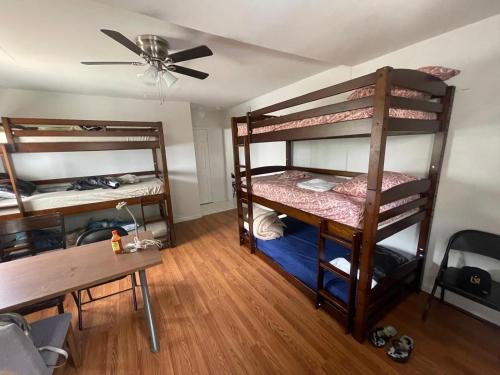 Females room bun beds, Los Angeles (fotografie 6)