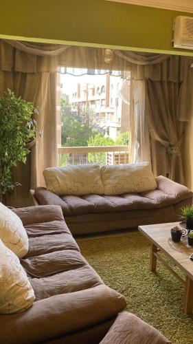 Apartment in Zayed, Sheikh Zayed (fotografie 5)