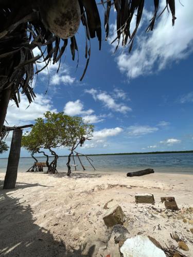 Jamebougoum in 旦加恩