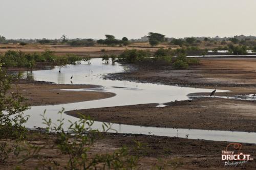 Jamebougoum in 旦加恩