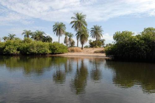 Jamebougoum in 旦加恩