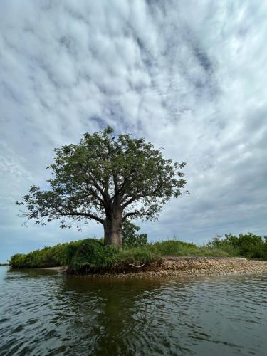 Jamebougoum in 旦加恩