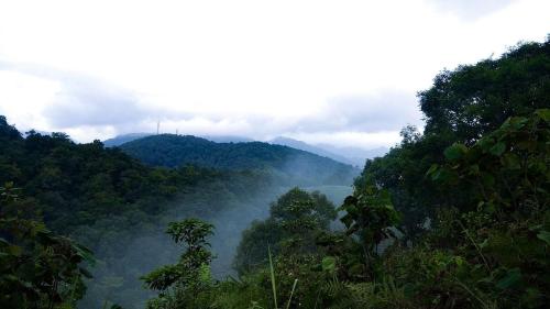 Rain Country Jungle Resort