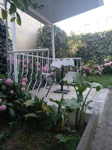 Dentart&Apartments in อาลี เดมี