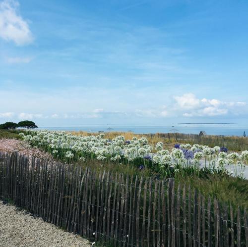 Studio 3 couchages vue mer in Chatelaillon-Plage