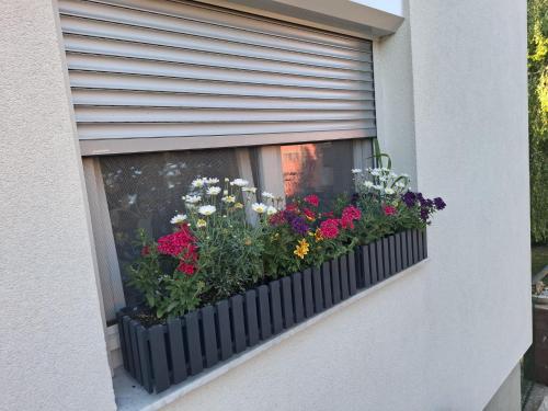 Studio apartman Marta