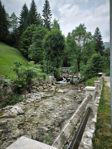 Apkārtne, Apartment Tarman in Planina pod Golico
