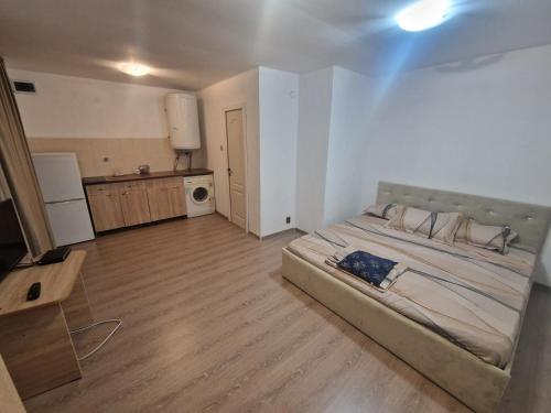 Seaward in คอสติเนสตี