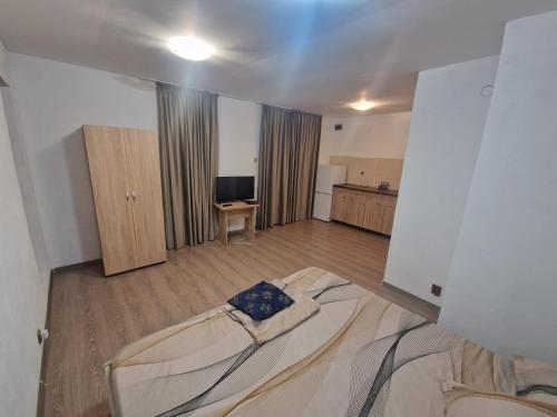 Seaward in คอสติเนสตี