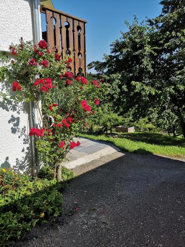 Appartement Panoramablick in 格拉特斯多夫