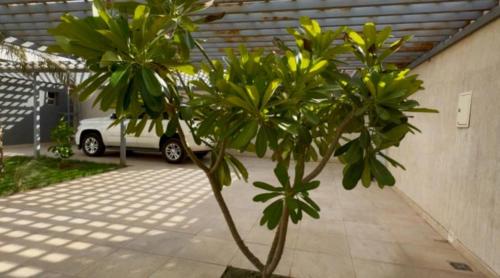 شاليه الماسيه خاص و مميز بأحدث المواصفات لنصنع الجمال بعينه, Riyad (photo 4)
