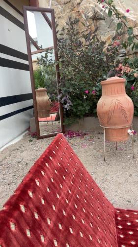 مطل ومزرعة الاصيل, Táif (fotografie 4)