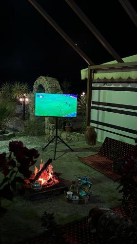مطل ومزرعة الاصيل, Táif (fotografie 7)