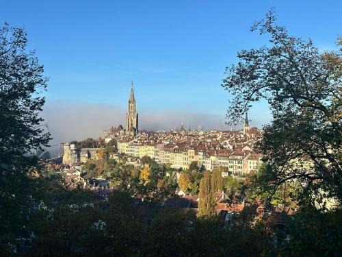 Bears View BB, Berna (foto 5)