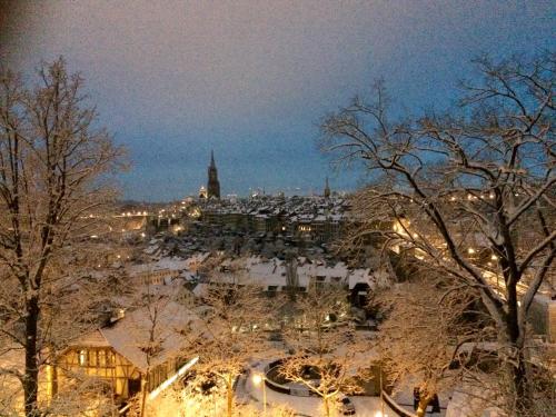 Bears View BB, Berna (foto 6)