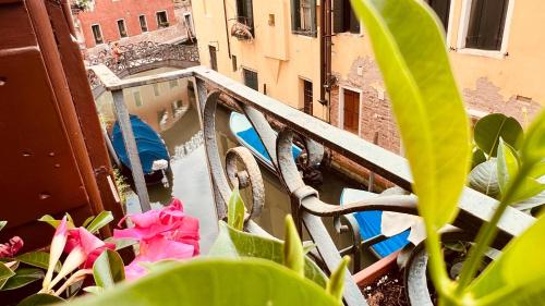 Corte dei Quadri Simoni, Benátky (fotografie 10)