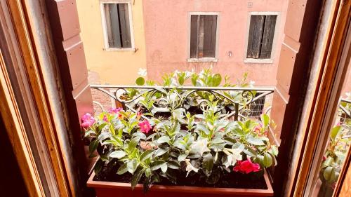 Corte dei Quadri Simoni, Benátky (fotografie 6)