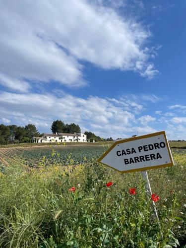 Hotel Casa Pedro Barrera