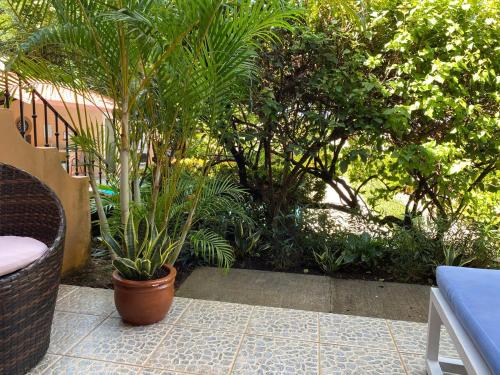 Spacious Loft with Pool and Great Outdoor Areas, Coco (photo 7)