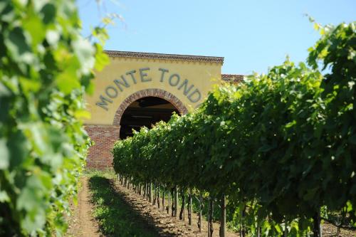 Monte Tondo Winery