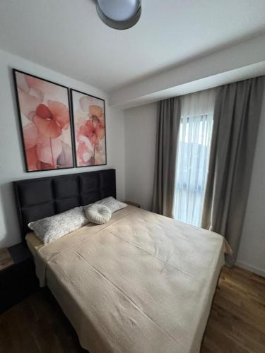 TARA & SPA apartment Kolasin, Kolašin (Foto 10)