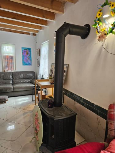 Relax by lake at Warmian-Masurian Holiday home in Žilmala