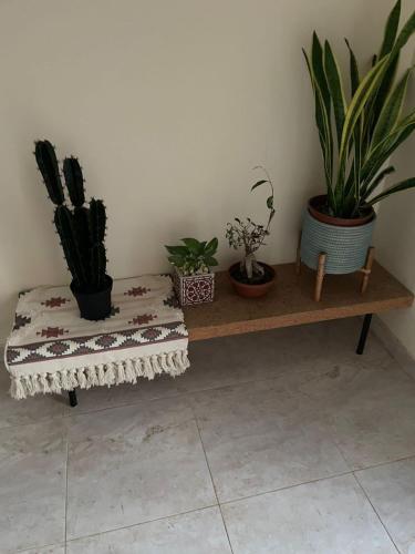 شقق مسك الفندقية MISK Apartments in Al Khabra'