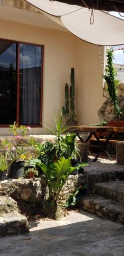 Casa los Jarochos in Fernando Novelo