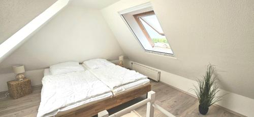 Windstärke 1, Dorum Neufeld (fotografie 10)