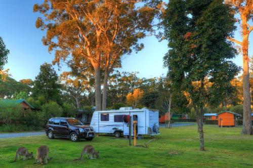 NRMA South West Rocks Holiday Park