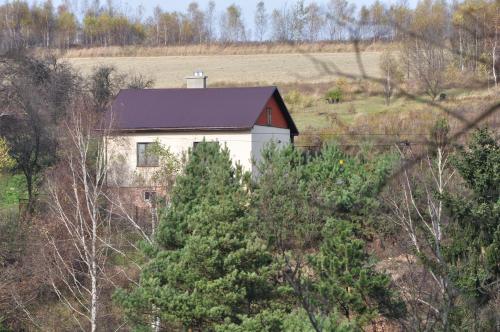 Grodzisko11
